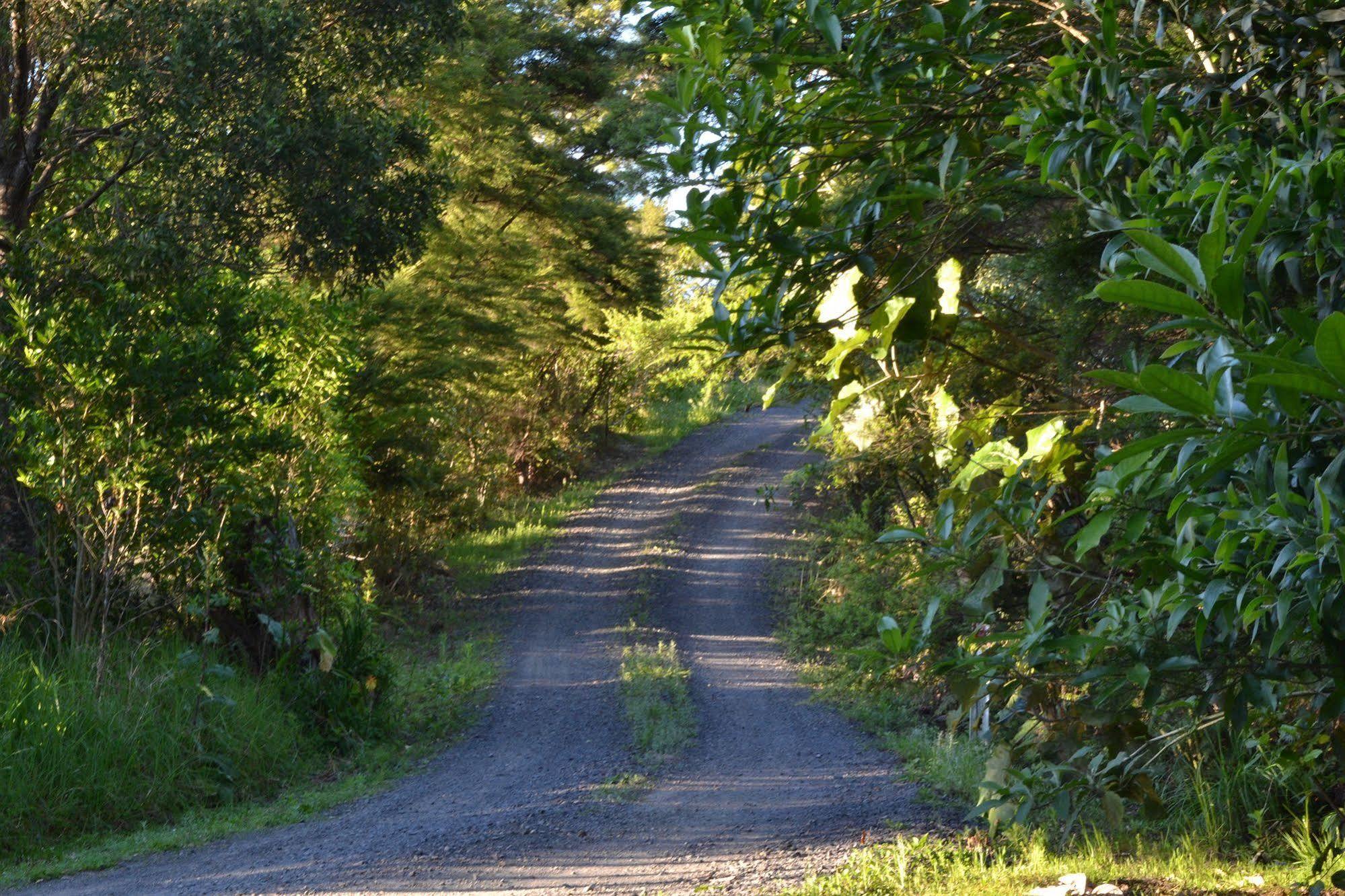 Te Mata Lodge Tapu Extérieur photo